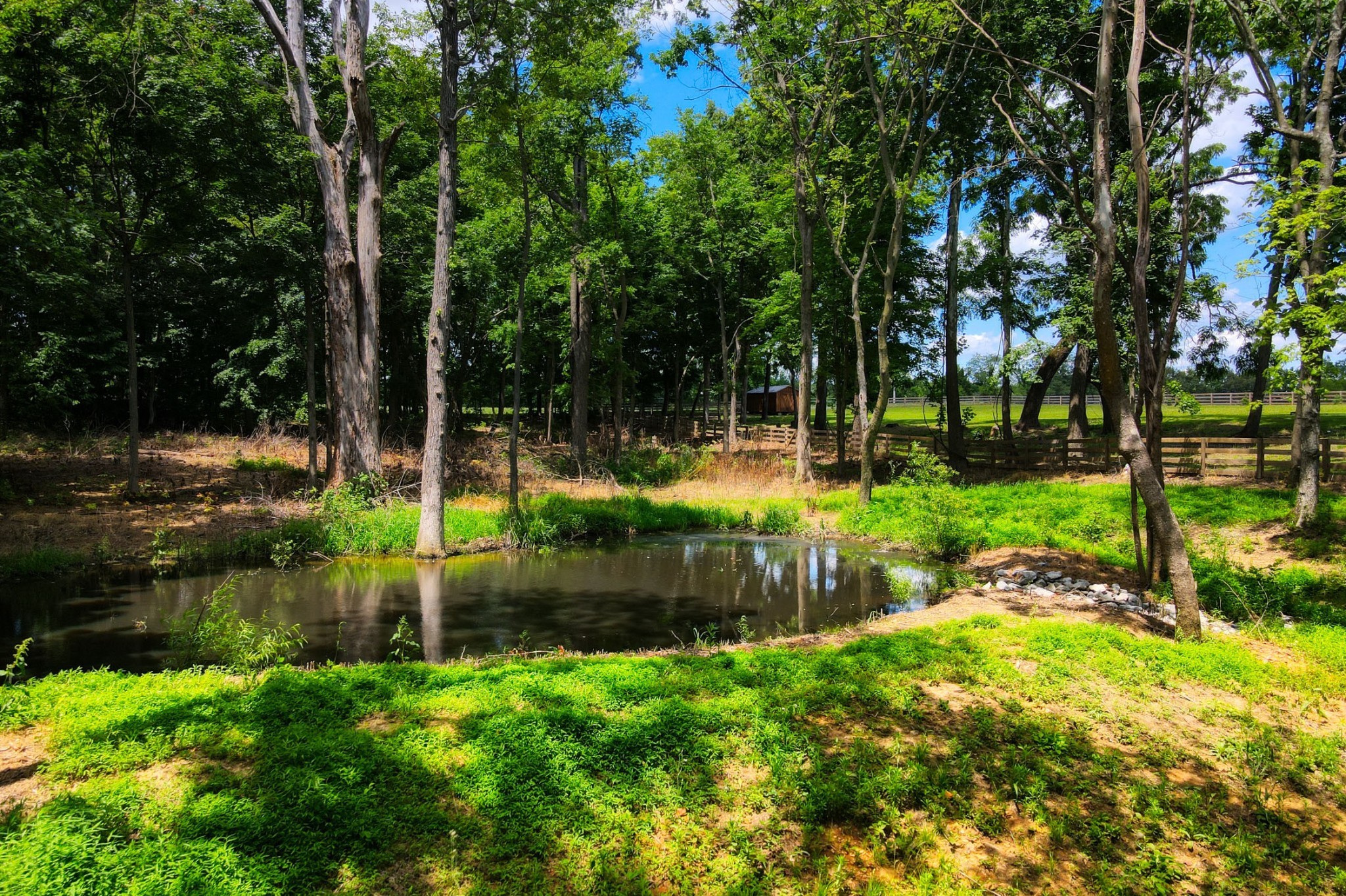 290 Dink Rut Road Portland, TN 37148 - Photo 56 of 56 a view of a park with plants