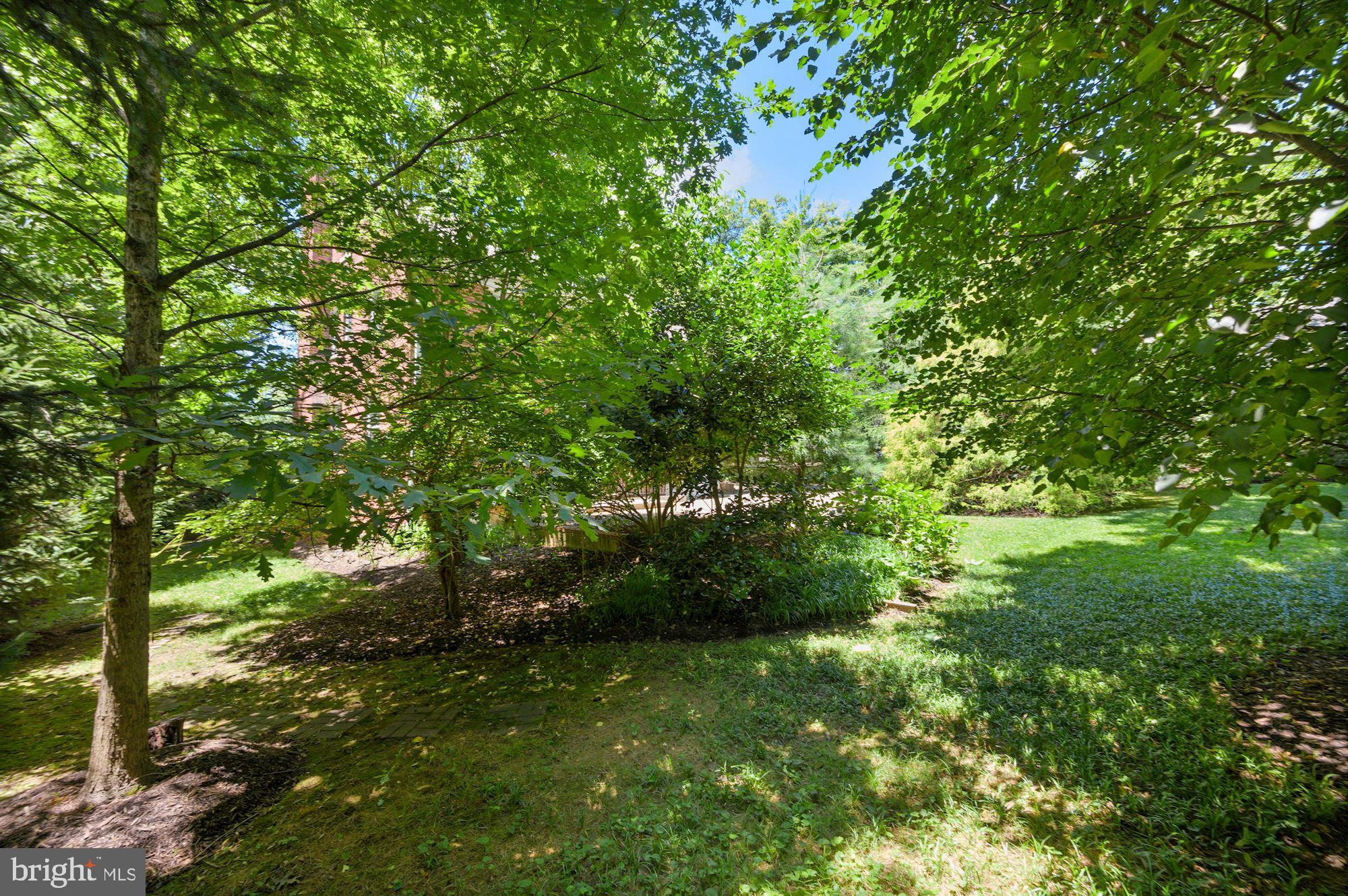 7823 Overhill Road Bethesda, MD 20814 - Photo 22 of 29 Gallery Image 22