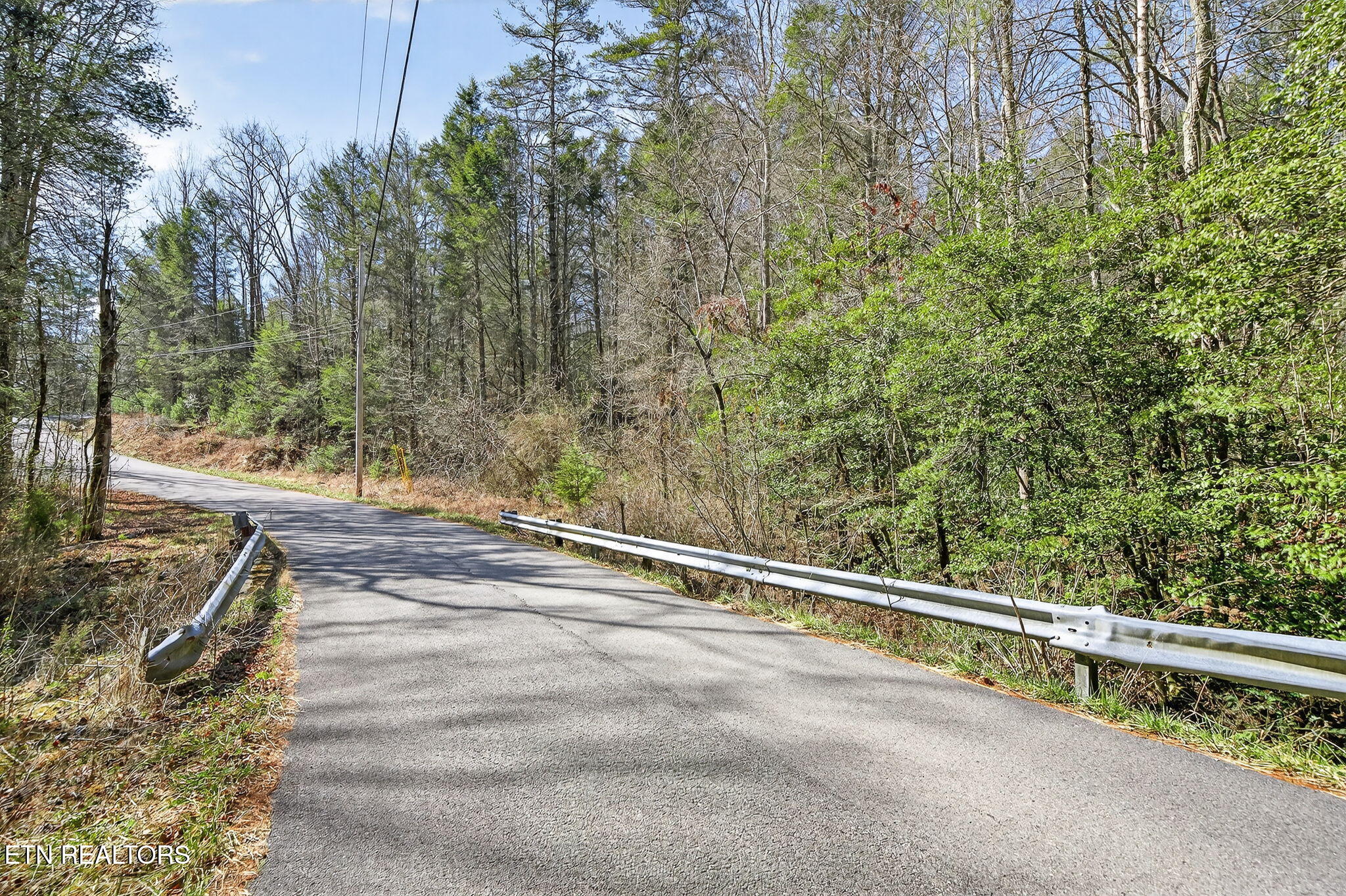Dogwood Road Grandview, TN 37337 - Photo 16 of 16 19-web-or-mls-Dogwood Grandview_057_TNPC