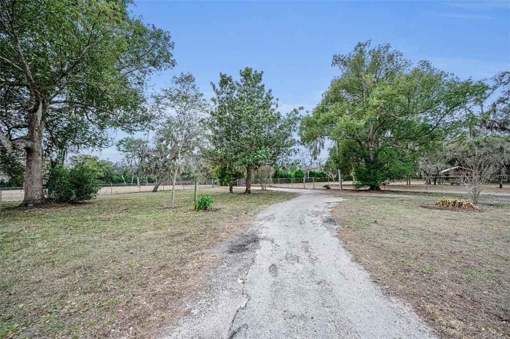 7230 Old Homestead Road New Port Richey, FL 34654 - Photo 17 of 99 Gallery Image 17