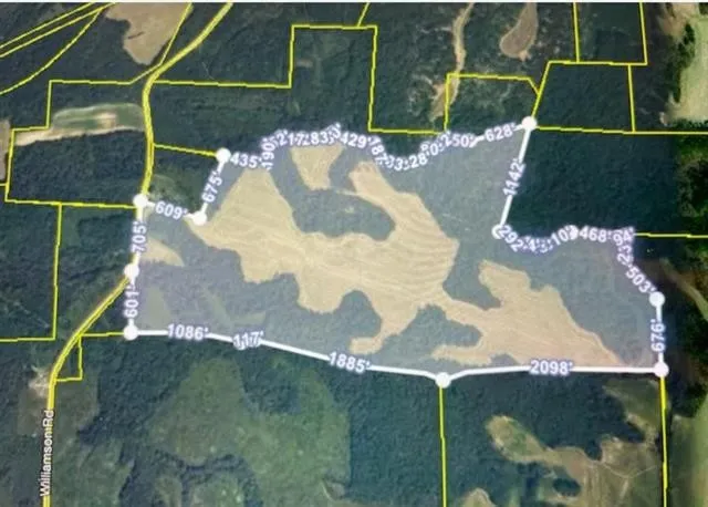 $1,200,000 | 0 Williamson Road, Denmark, TN 38391