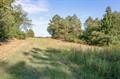 0 Williamson Road Denmark, TN 38391 - Photo 19 of 22