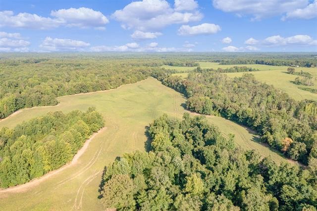 0 Williamson Road Denmark, TN 38391 - Photo 4 of 22