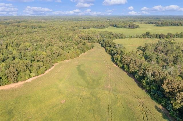 0 Williamson Road Denmark, TN 38391 - Photo 6 of 22