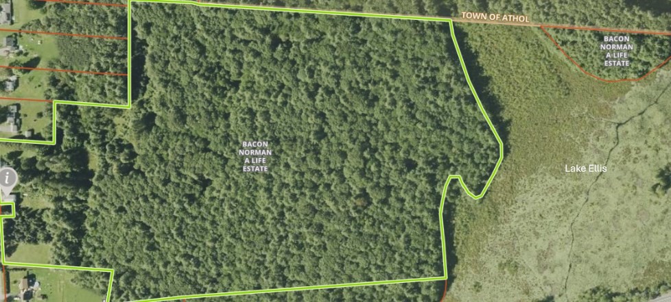 1386 Pleasant Street Athol, MA 01331 - Photo 4 of 11 a view of a garden