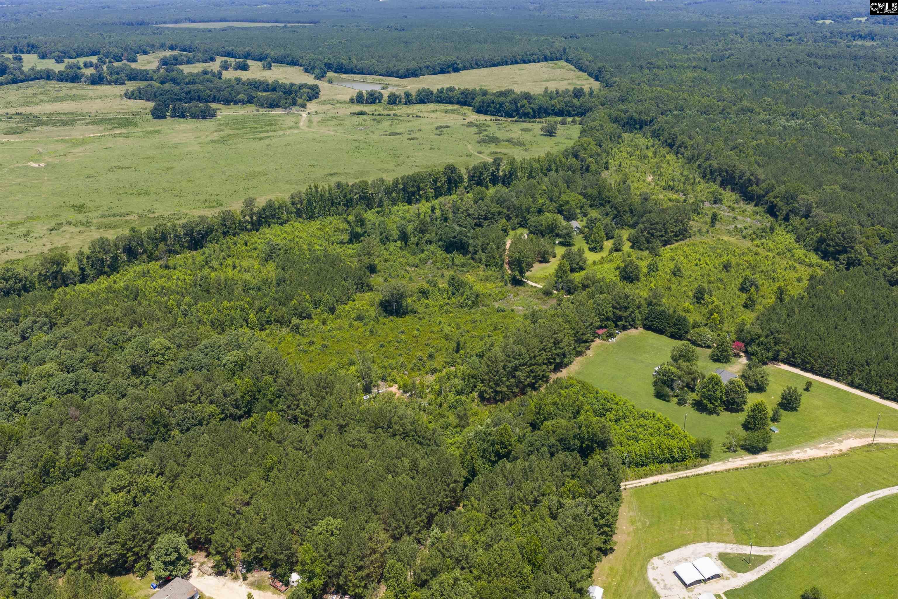 Stevens Road Saluda, SC 29138 - Photo 3 of 23
