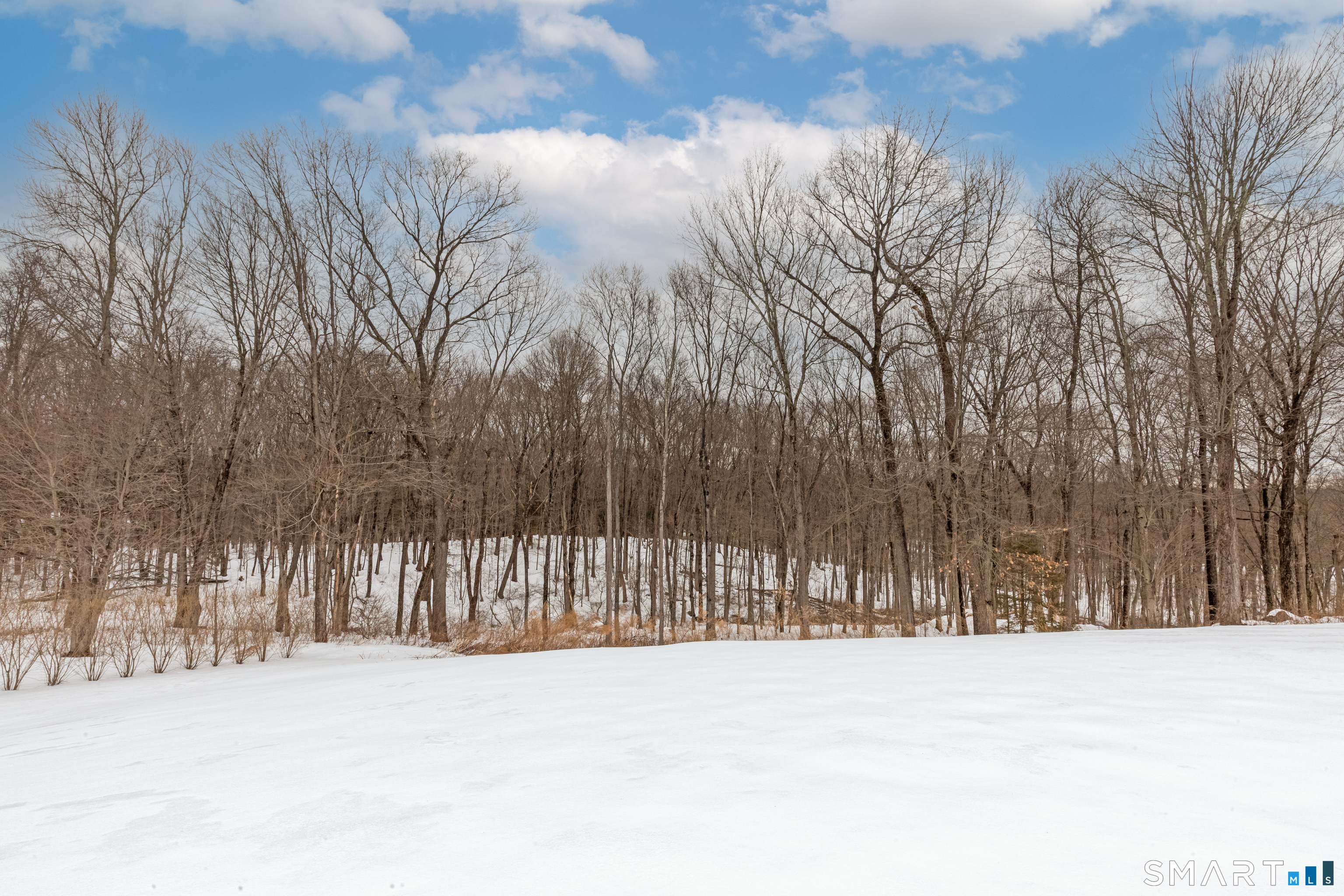 428 Breakneck Hill Road Middlebury, CT 06762 - Photo 4 of 39