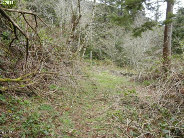 210 Cedar Street Wheeler, OR 97147 - Photo 2 of 4 Lot