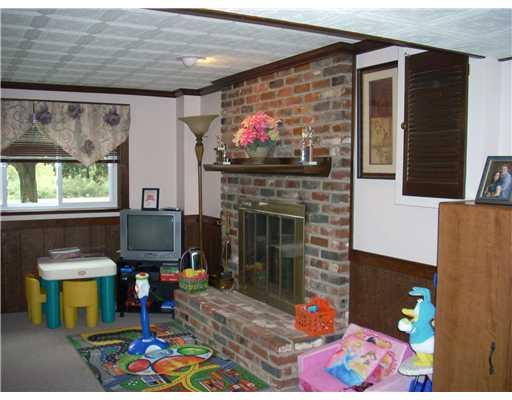 3220 Haberlein Road Gibsonia, PA 15044 - Photo 12 of 16 Den/Family/Great Room. Lower Level Gameroom. Full brick fireplace. Was Cleaned in 2006 but never used.