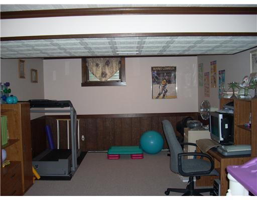3220 Haberlein Road Gibsonia, PA 15044 - Photo 13 of 16 Den/Family/Great Room. Gameroom. Opposite side with new carpeting, fresh paint & wallpaper removed.