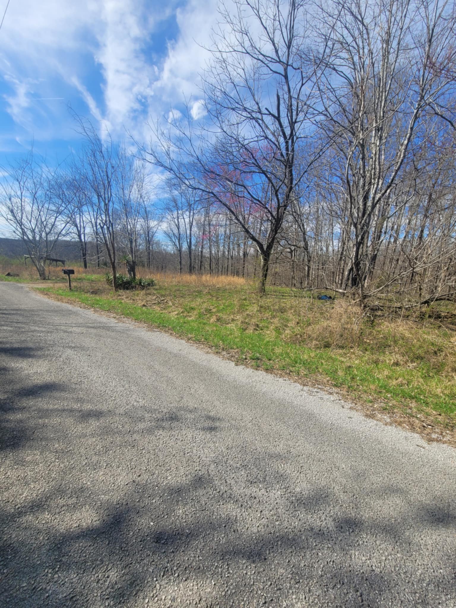 670 Munro Road Pulaski, TN 38478 - Photo 6 of 8 a view of a yard with large trees