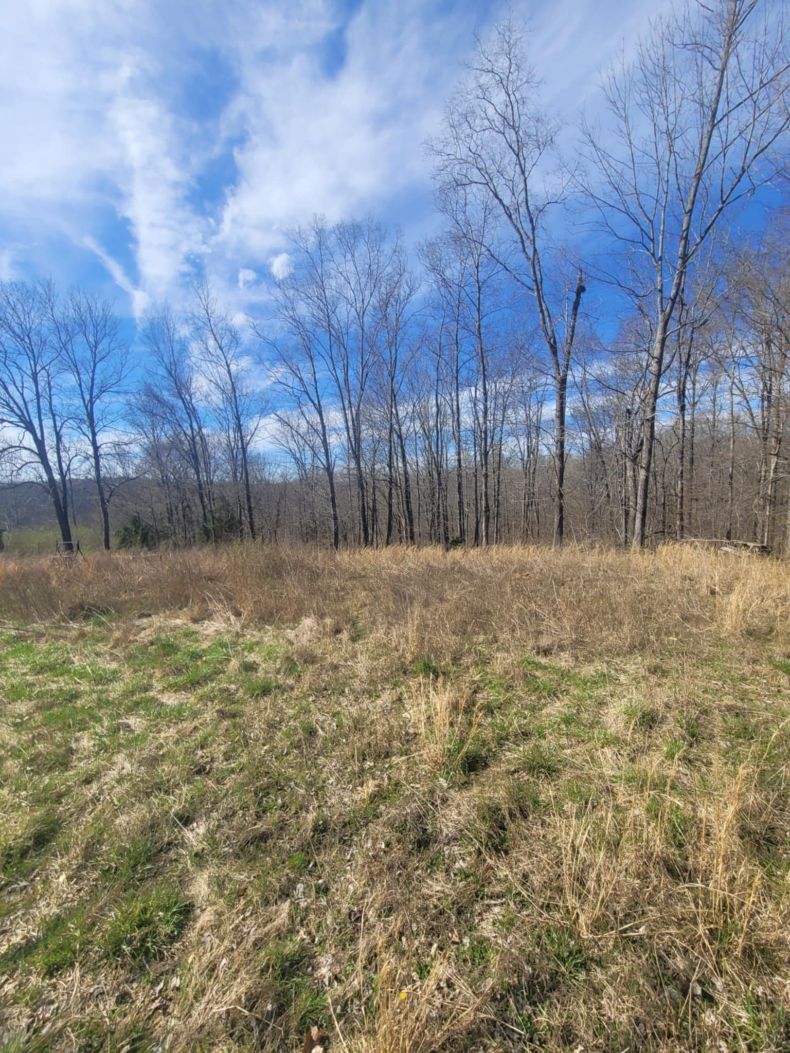 670 Munro Road Pulaski, TN 38478 - Photo 7 of 8 a backyard of a house with large trees