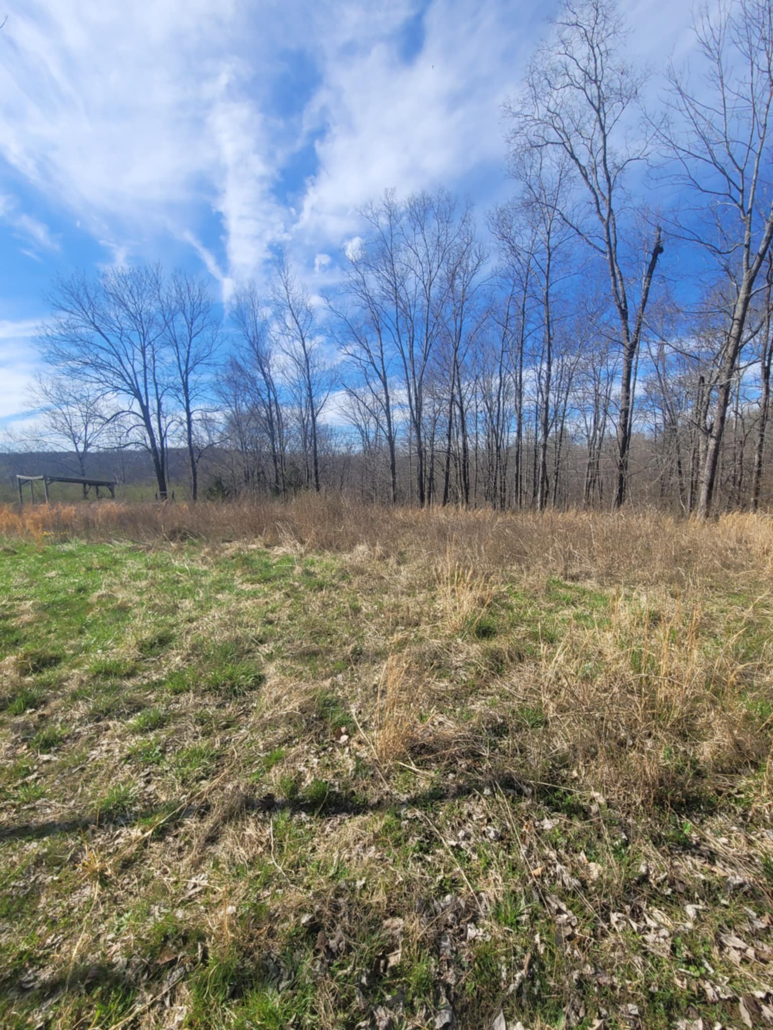 670 Munro Road Pulaski, TN 38478 - Photo 8 of 8 a view of a yard with trees