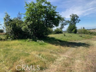5291 Bennett Road Paradise, CA 95969 - Photo 3 of 15
