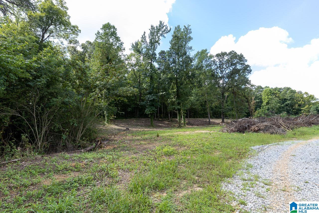 1080 Grants Mill Road Birmingham, AL 35210 - Photo 8 of 11