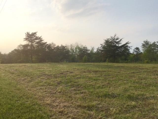 4497 Jonesville Road Clarkrange, TN 38553 - Photo 3 of 4 4497 Jonesville Rd