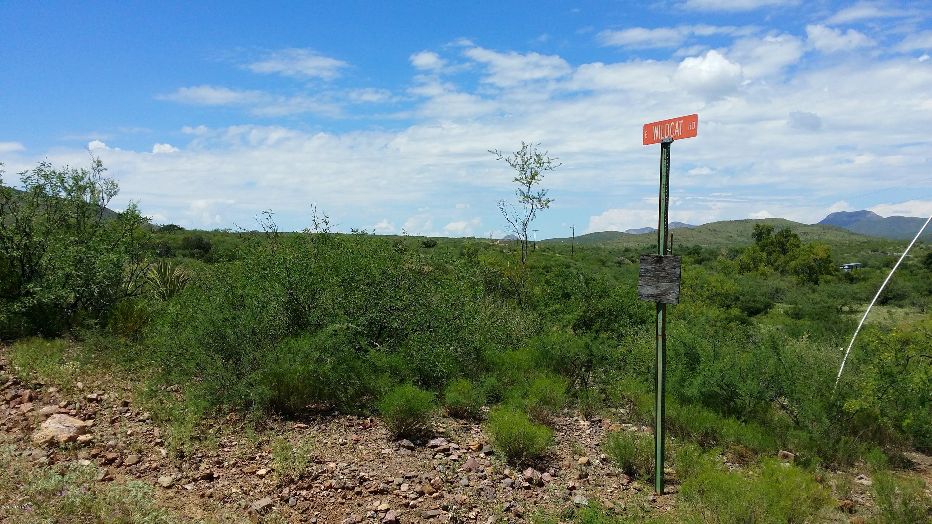 27.084-ac North Silver Creek Road Douglas, AZ 85607 - Photo 3 of 21
