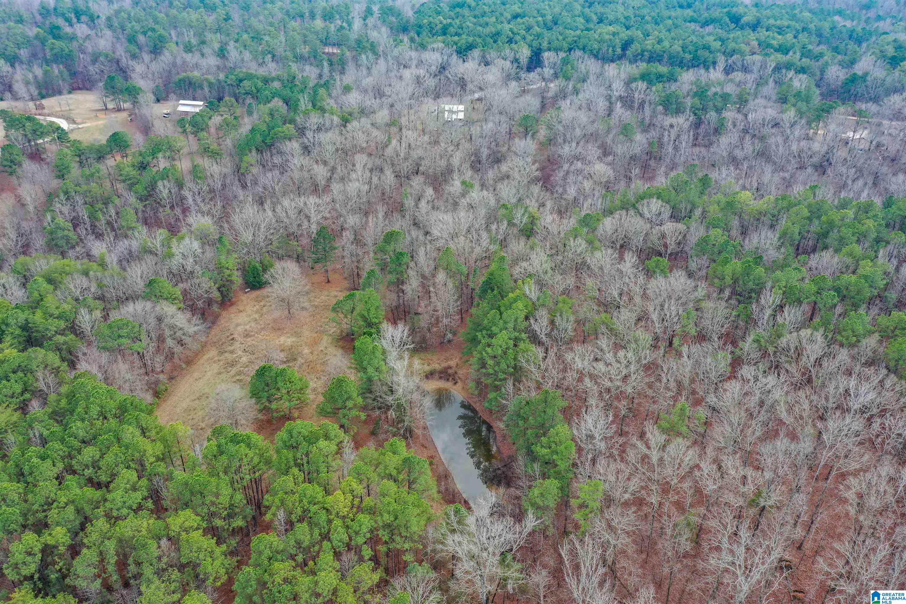 345 Brown Road Calera, AL 35040 - Photo 86 of 88 Gallery Image 86