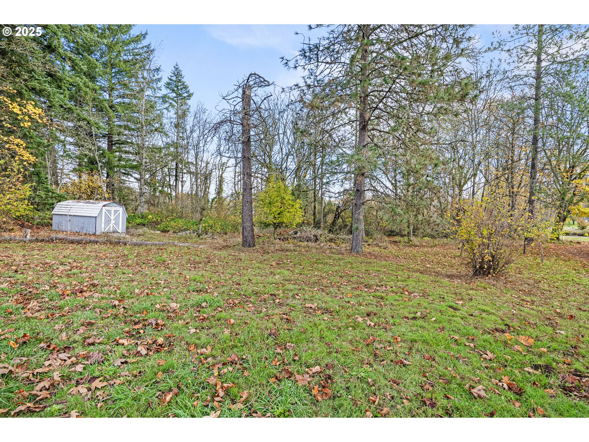 2032 Southeast 283rd Avenue Camas, WA 98607 - Photo 15 of 22 a view of outdoor space with trees