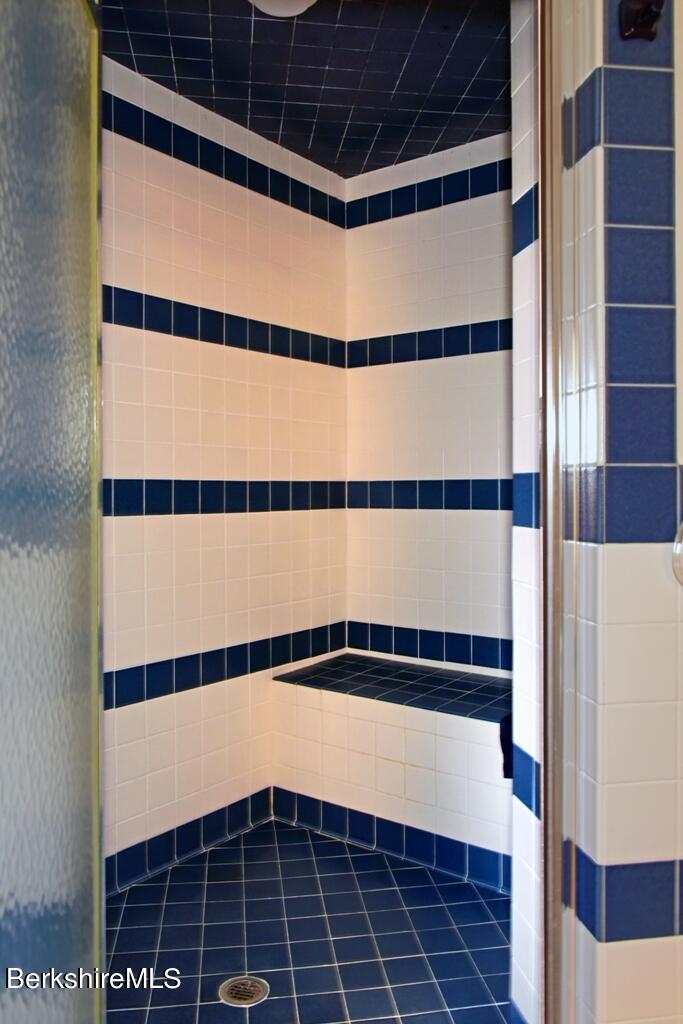 84 B North Undermountain Road Egremont, MA 01230 - Photo 41 of 62 Primary BathroomDSC_7426_1