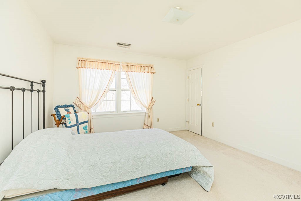 11192 Verdon Road Doswell, VA 23047 - Photo 25 of 50 Primary Bedroom