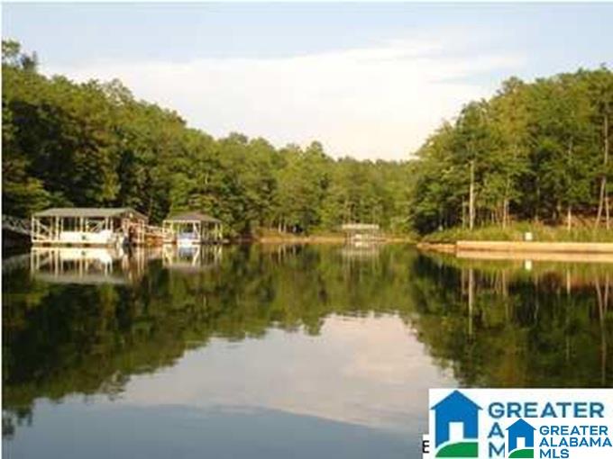 Ginhouse Point, Unit 29 Wedowee, AL 36278 - Photo 9 of 10
