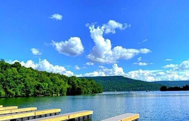 Lot 24 West Of Dry Hill Road, Unit 23 Butler, TN 37640 - Photo 20 of 35 DOCKS