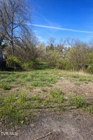 $12,500 | Lot 15 Norfolk, Unit 15, Bristol, VA 24201