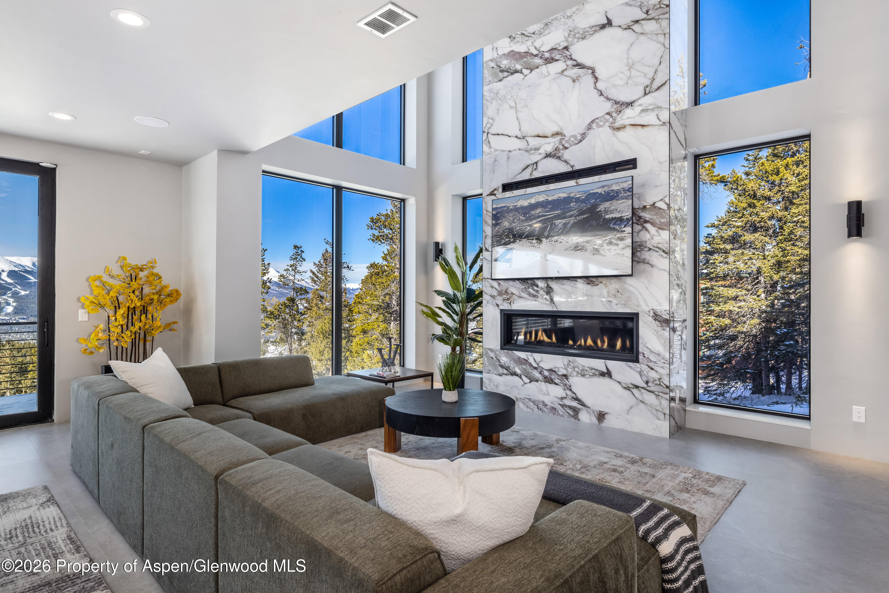316 Fuller Placer Road Breckenridge, CO 80424 - Photo 19 of 52 a living room with furniture a fireplace and a potted plant
