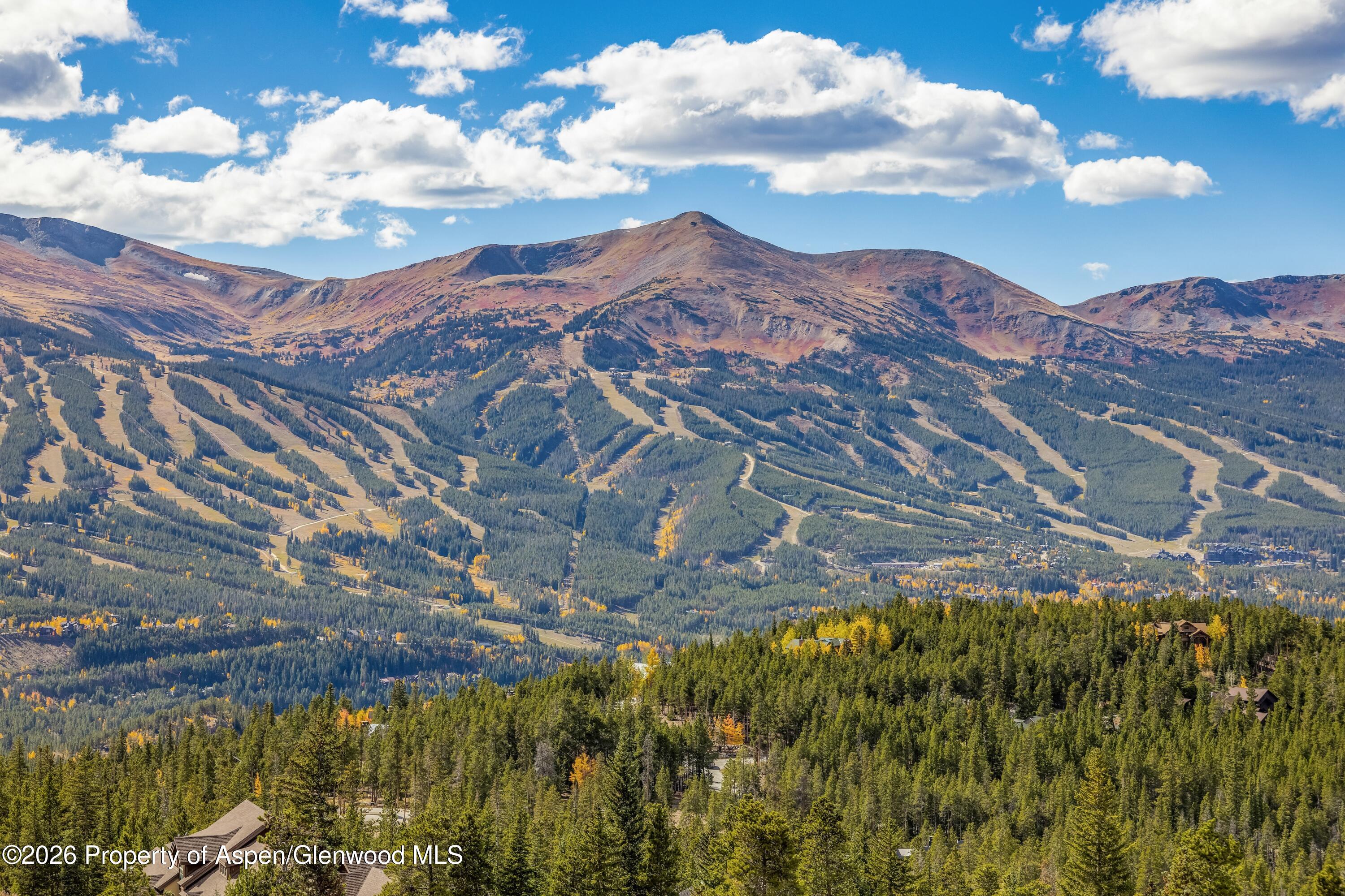 316 Fuller Placer Road Breckenridge, CO 80424 - Photo 49 of 52 a view of a houses with a yard