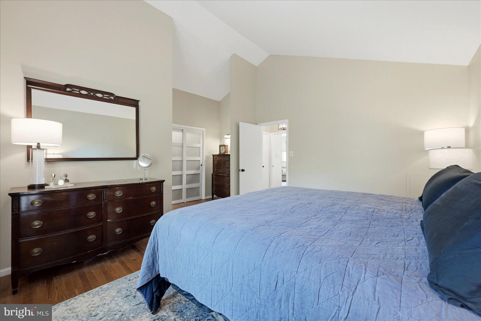 13704 Springhaven Drive Chantilly, VA 20151 - Photo 17 of 39 Vaulted Ceiling and Walk in Closet