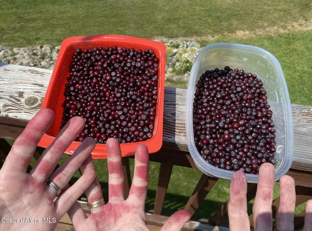 $1,125,000 | 833 Drummond Peak Road, Pinehurst, ID 83850