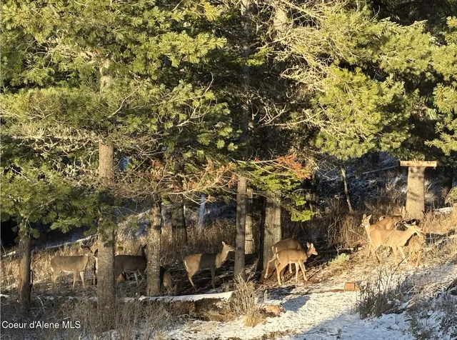 $1,164,000 | 833 Drummond Peak Road, Pinehurst, ID 83850