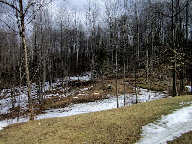 18264 Pickerel Lake Road Townsend, WI 54175 - Photo 20 of 20 Gallery Image 20