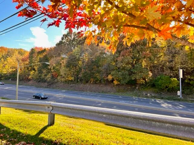 a view of a swimming pool and trees in the background