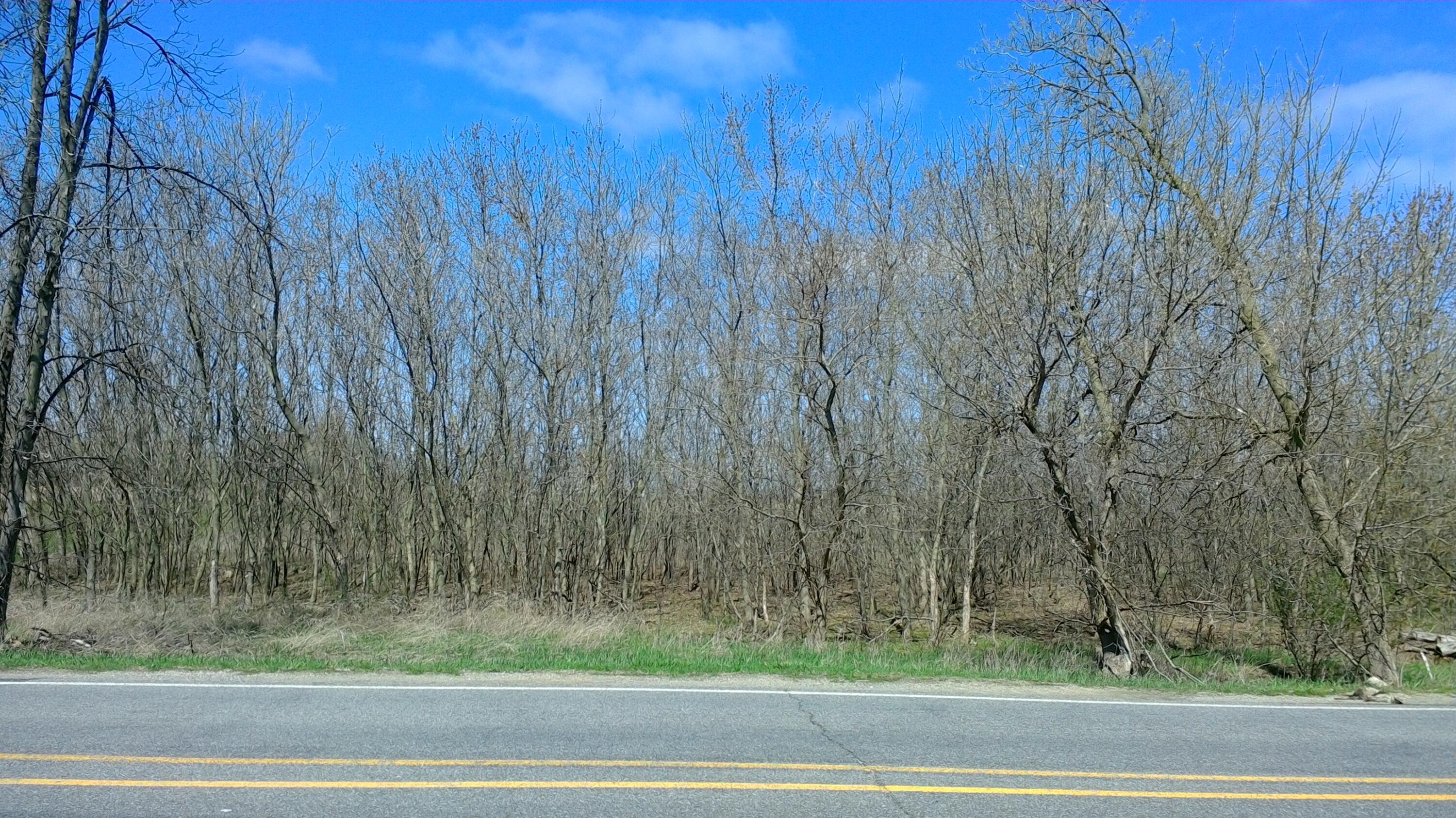 County Farm Road Greenville, MI 48838 - Photo 1 of 1 Parcel 4