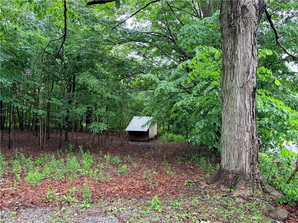 3227 Swain Hill Road Grove, NY 14836 - Photo 21 of 21 chicken coop/storage