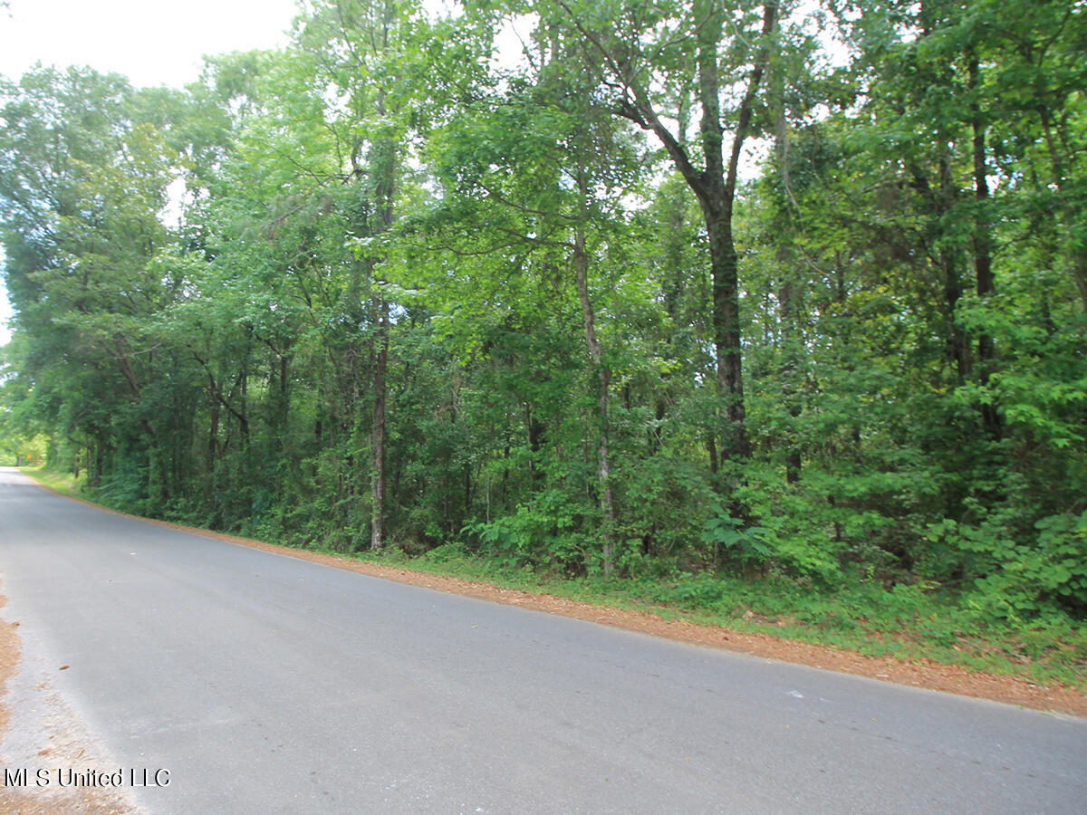 2123 Union Church Road Lucedale, MS 39452 - Photo 11 of 12 land 14 (1)