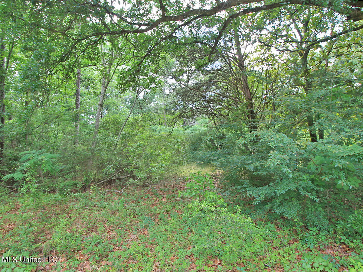 2123 Union Church Road Lucedale, MS 39452 - Photo 2 of 12 land 1 (4)