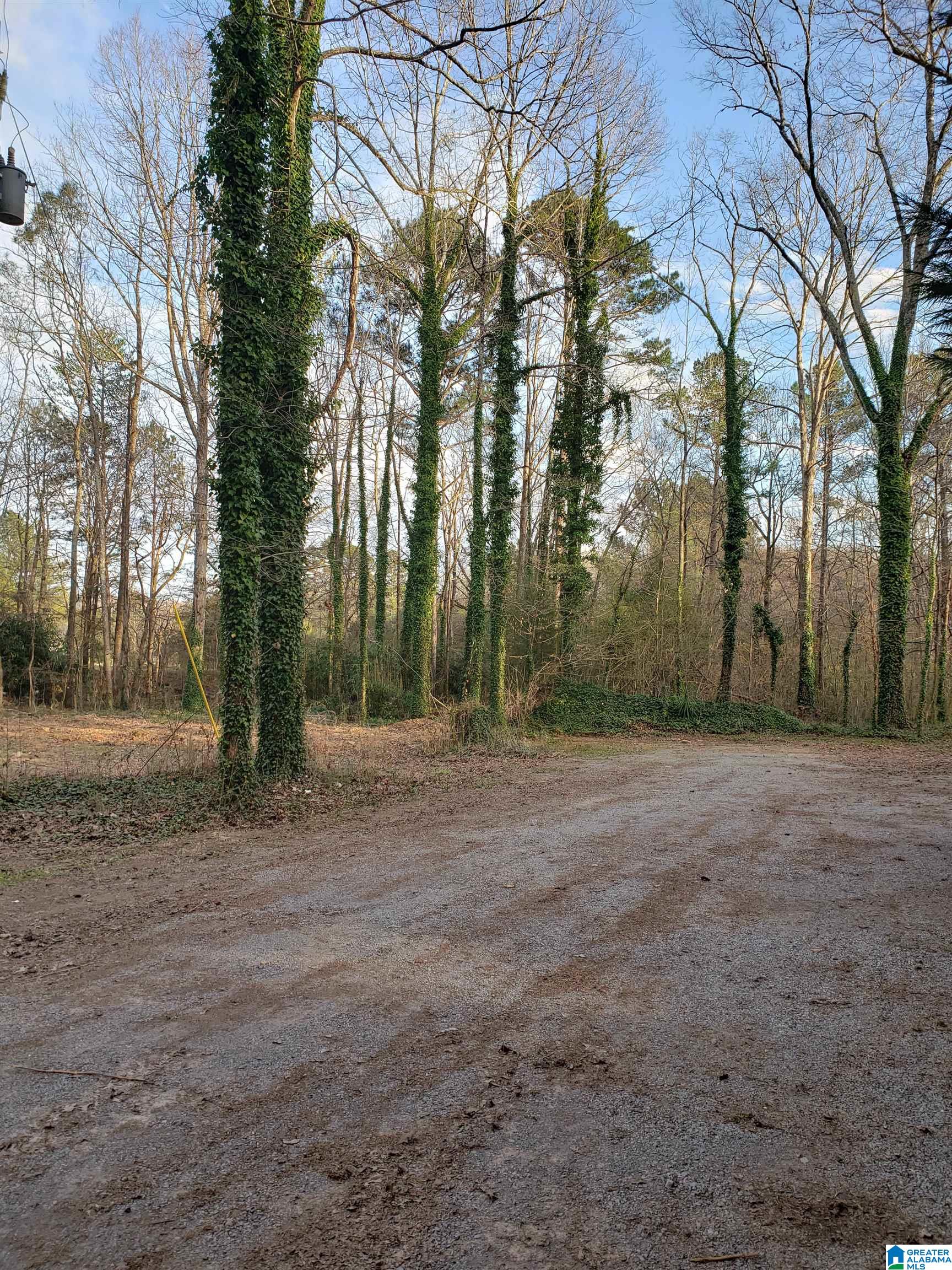90 Walkers Gap Road Springville, AL 35146 - Photo 41 of 48