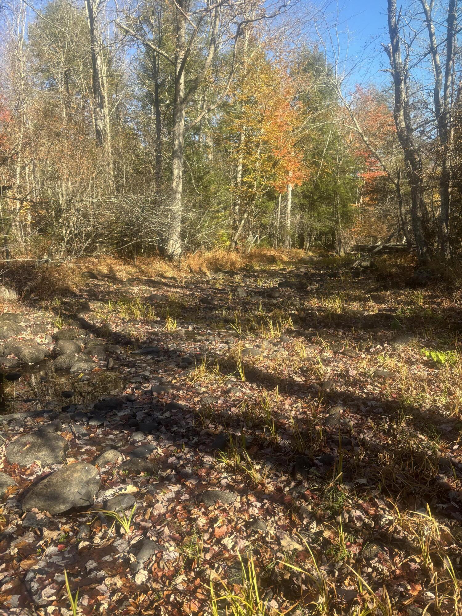 0 Kimball Schoolhouse Road Mercer, ME 04957 - Photo 1 of 1 IMG_5303