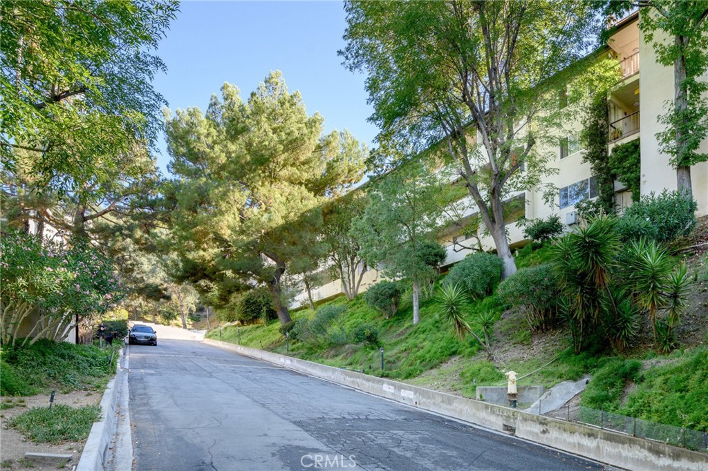 1935 Alpha Road, Unit 214 Glendale, CA 91208 - Photo 26 of 29 a view of a road with plants and a large tree