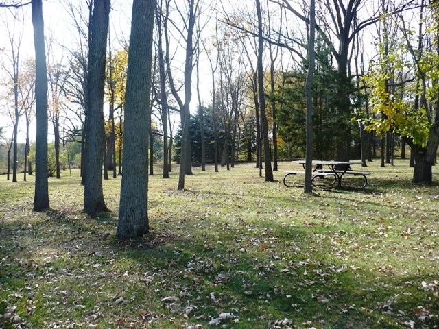 2736 Shaw Road Compton, IL 61318 - Photo 14 of 25