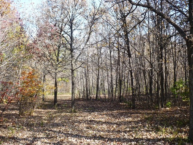 2736 Shaw Road Compton, IL 61318 - Photo 16 of 25