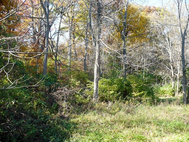 2736 Shaw Road Compton, IL 61318 - Photo 20 of 25