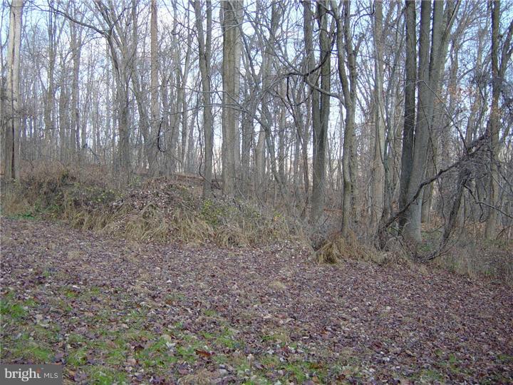 446 Lenni Road Glen Mills, PA 19342 - Photo 3 of 12 Gallery Image 3