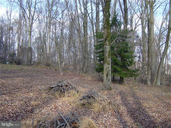 446 Lenni Road Glen Mills, PA 19342 - Photo 4 of 12 Gallery Image 4