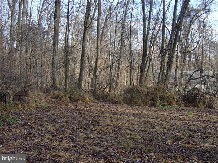 446 Lenni Road Glen Mills, PA 19342 - Photo 6 of 12 Gallery Image 6