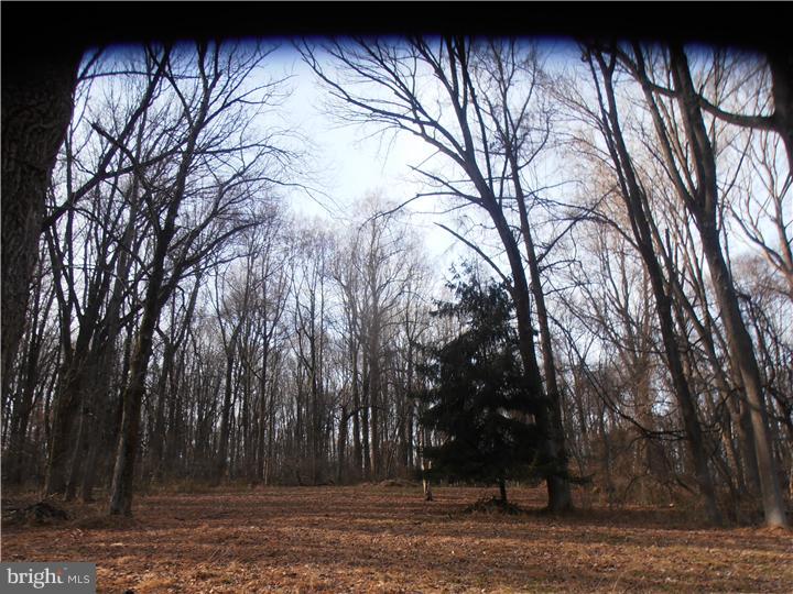 446 Lenni Road Glen Mills, PA 19342 - Photo 10 of 12 Gallery Image 10