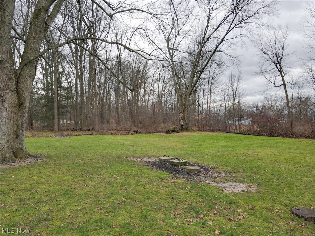 466 Pine Lake Road Sebring, OH 44672 - Photo 14 of 30 View of back yard